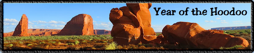 Year of the Hoodoo