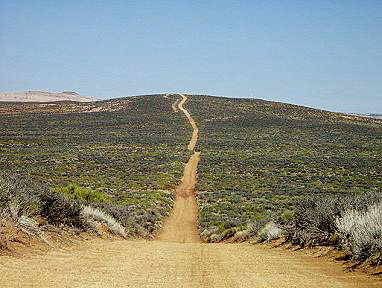 Forty Mile Ridge Road