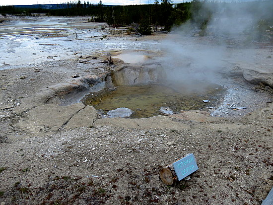 Veteran Geysir Veteran Geysir