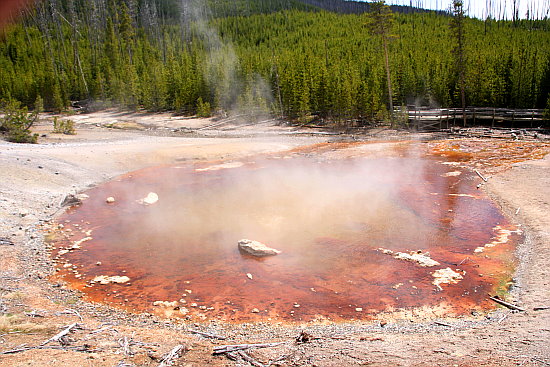 Echinus Geysir Echinus Geysir