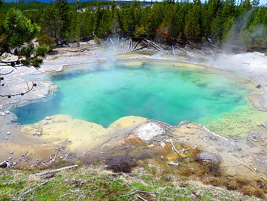 Emerald Spring Emerald Spring