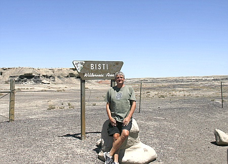 Bisti Wilderness Area
