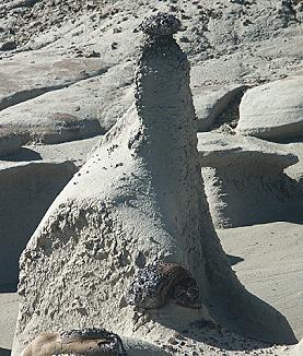Seal Hoodoo