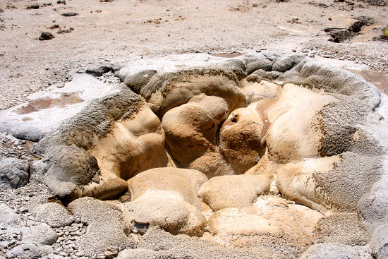 Shell Geyser Shell Geyser