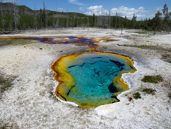 West Geyser West Geyser