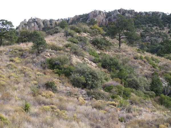 Lost Mine Trail Lost Mine Trail