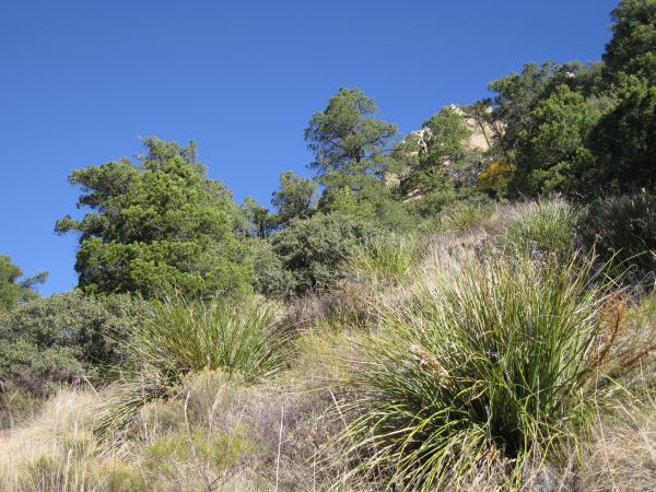 Lost Mine Trail Lost Mine Trail