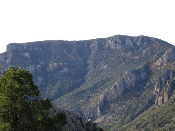 Emory Peak Emory Peak