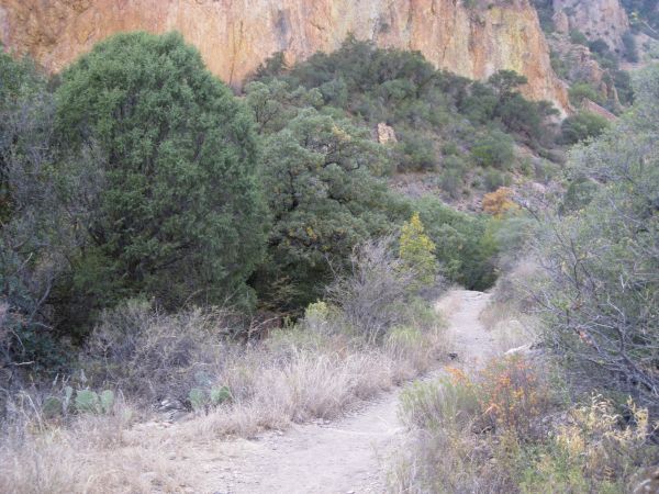 Big Bend Big Bend