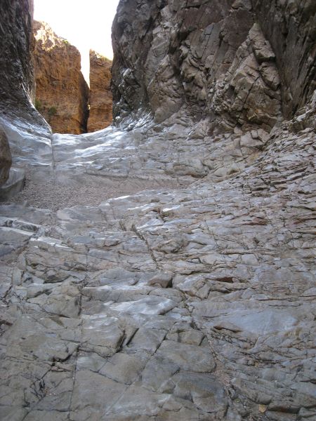 Big Bend Big Bend