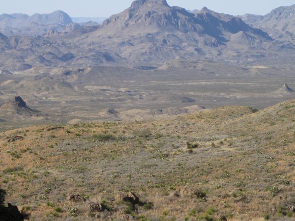 Big Bend Big Bend