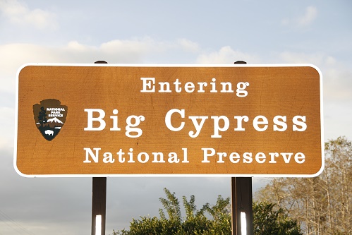 Big Cypress National Preserve Big Cypress National Preserve