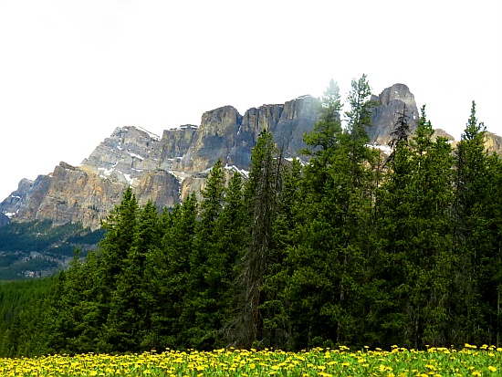 Castle Mountain Castle Mountain
