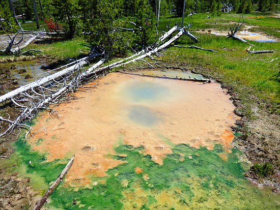 Black Sand Basin