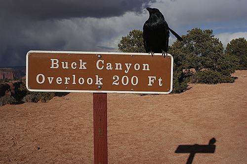 Buck Canyon Overlook