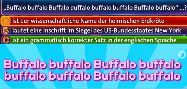 buffalo