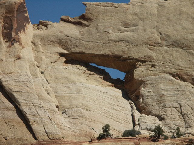 Peek-a-Boo Arch
