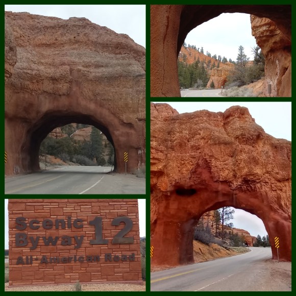 Red Canyon Arches Red Canyon Arches
