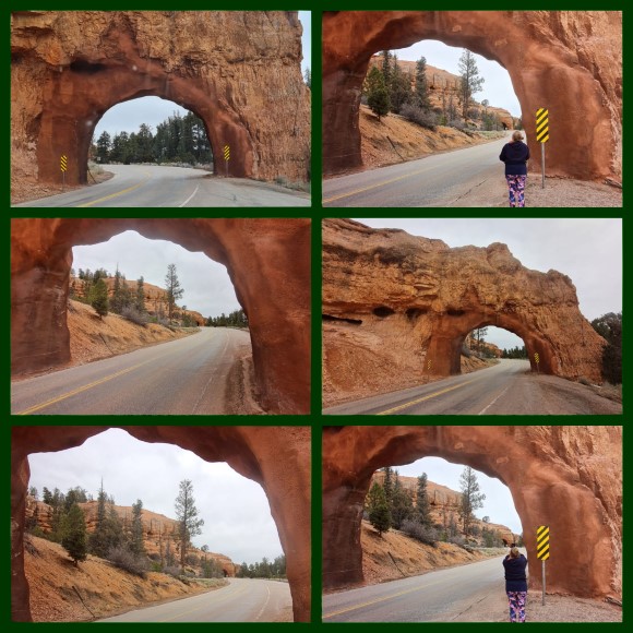 Red Canyon Arches Red Canyon Arches