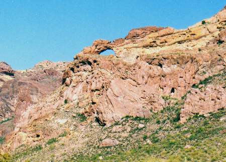 Organ Pipe Cactus Park - 