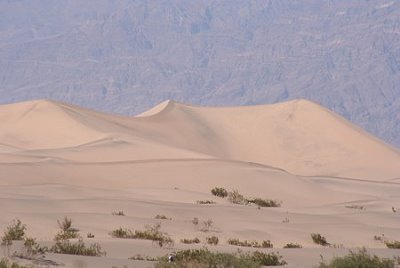 Dnen in Stovepipe Wells