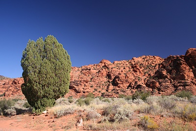 Snow Canyon