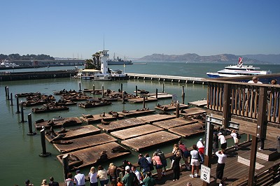 Lal@ @ Pier 39  im Juli 1992