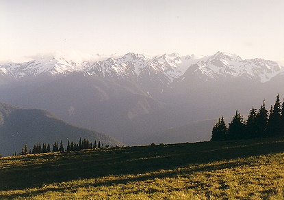 Hurricane Ridge