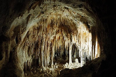 Carlsbad Caverns Carlsbad Caverns