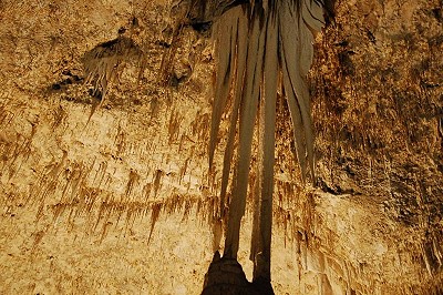 Carlsbad Caverns Carlsbad Caverns