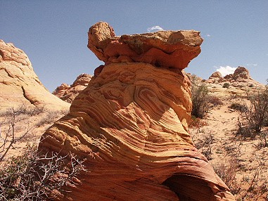 The Frog - South Coyote Buttes