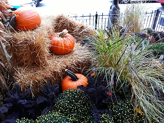 halloweenig geschmückter Bürgersteig auf der Michigan Avenue halloweenig geschmückter Bürgersteig auf der Michigan Avenue