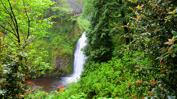 Multnomah Falls