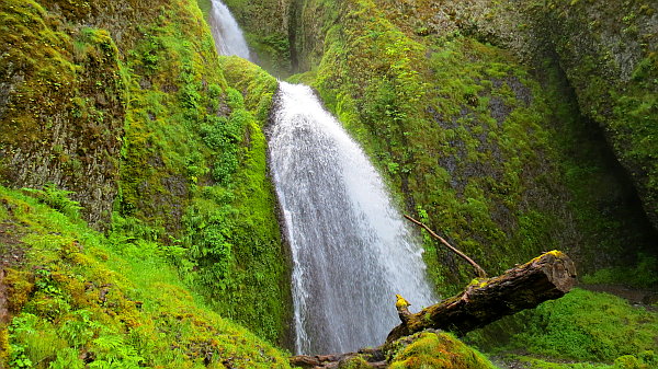 Wahkeena Falls