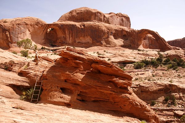 Bow Tie und Corona Arch auf einen Blick
