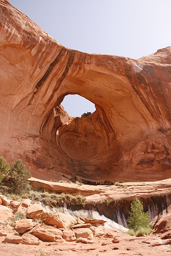 Bow Tie Arch Bow Tie Arch