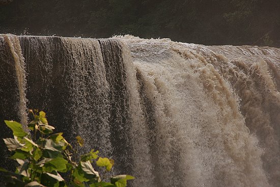 Cumberland Falls State Resort Park