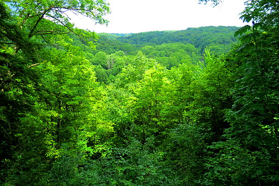 Tinkers Creek Gorge Scenic Overlook - Cuyahonga National Park Tinkers Creek Gorge Scenic Overlook - Cuyahonga National Park
