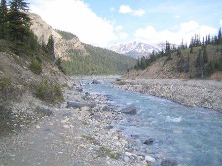 Bow Glacier Falls Trail