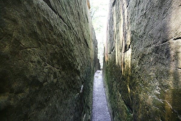 Kentucky's Natural Bridge
