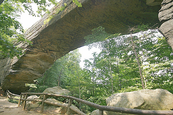 Kentucky's Natural Bridge