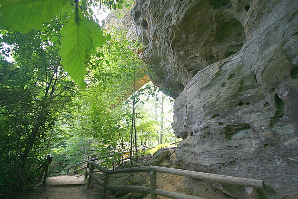 Kentucky's Natural Bridge
