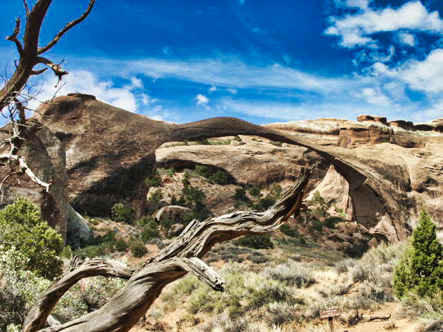 Arches Park - Landscape Arch