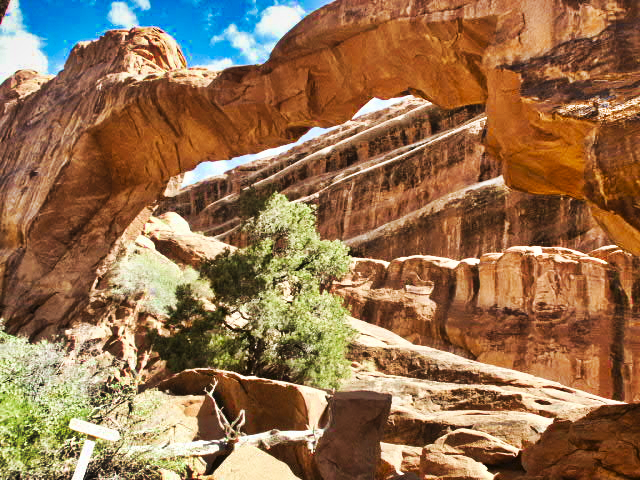 Arches Park - Wall Arch