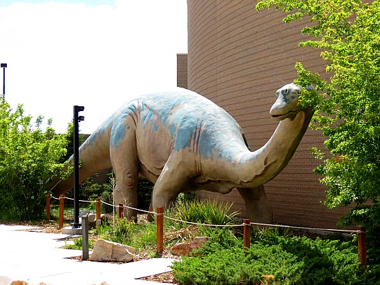 Utah Field House of Natural History State Park Museum - Diplodocus Utah Field House of Natural History State Park Museum - Diplodocus
