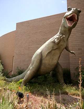 Tyrannosaurus Rex Tyrannosaurus Rex