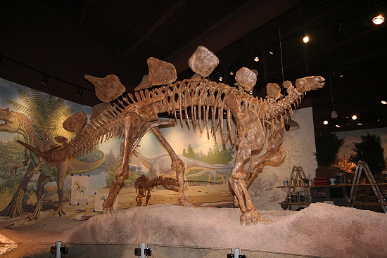 Utah Field House of Natural History State Park Museum Utah Field House of Natural History State Park Museum