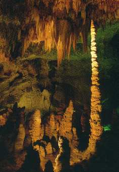 Carlsbad Caverns Carlsbad Caverns
