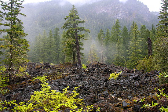 Lavafelder Lavafelder