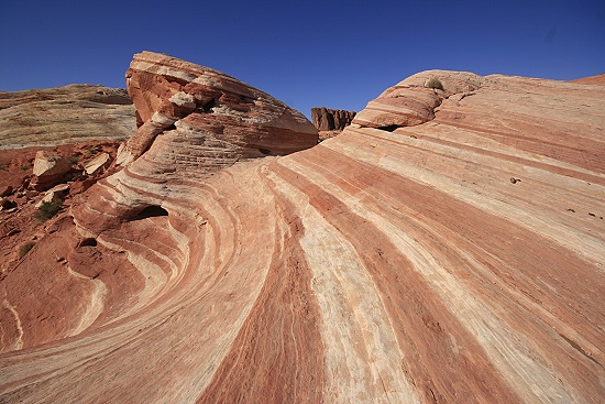 Valley of Fire Wave Valley of Fire Wave
